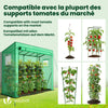 VOUNOT Garden Greenhouse w/Roll-Up Door, 135g/m² PE Cover, 200x77x170cm, Green