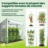 VOUNOT Garden Greenhouse w/Roll-Up Door, 135g/m² PE Cover, 200x77x170cm, White